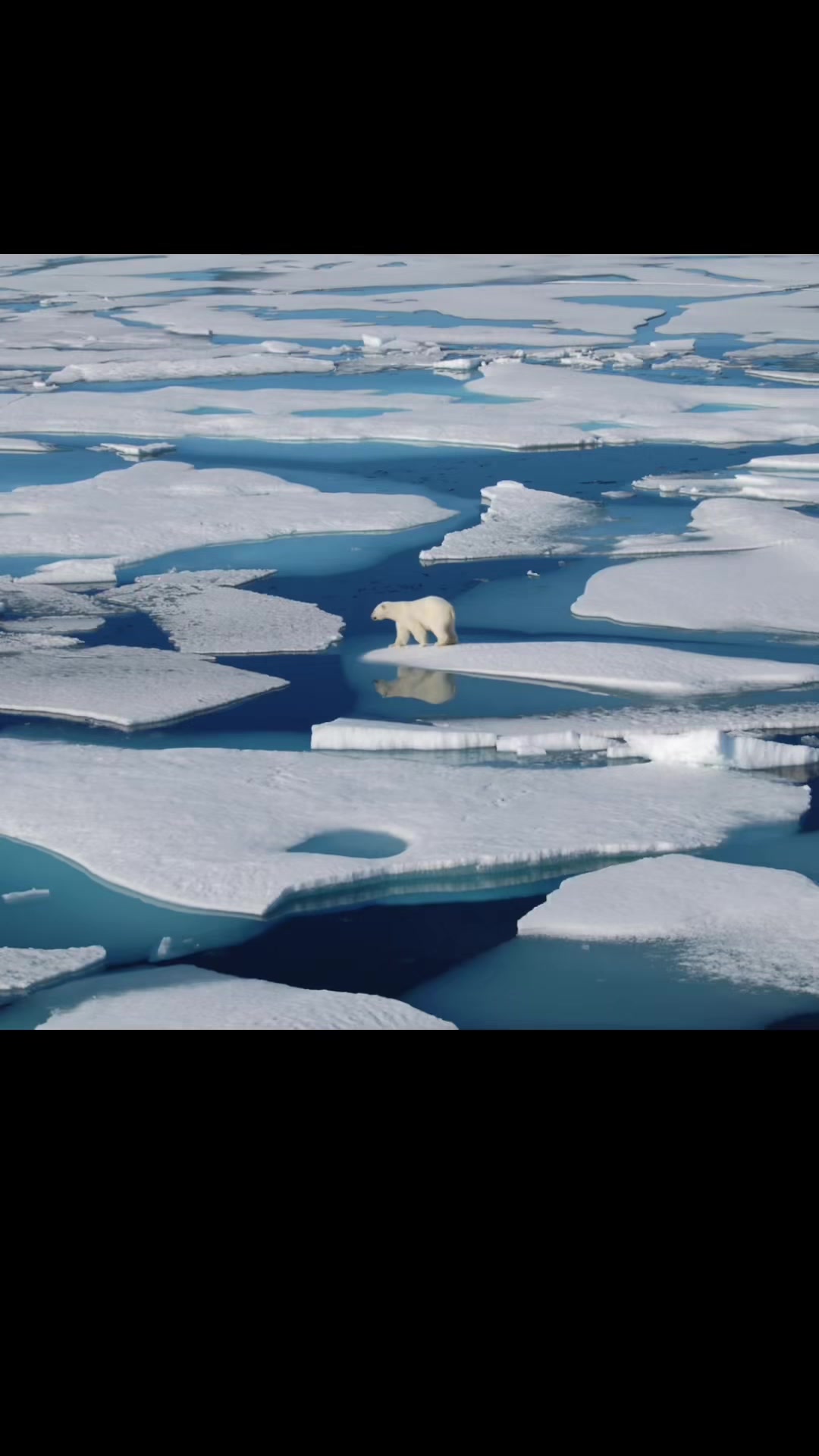 @save the planet
