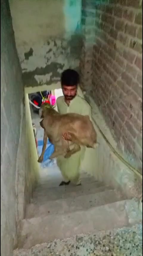 @FùRqan QûreŠhį🇵🇰🇹🇷