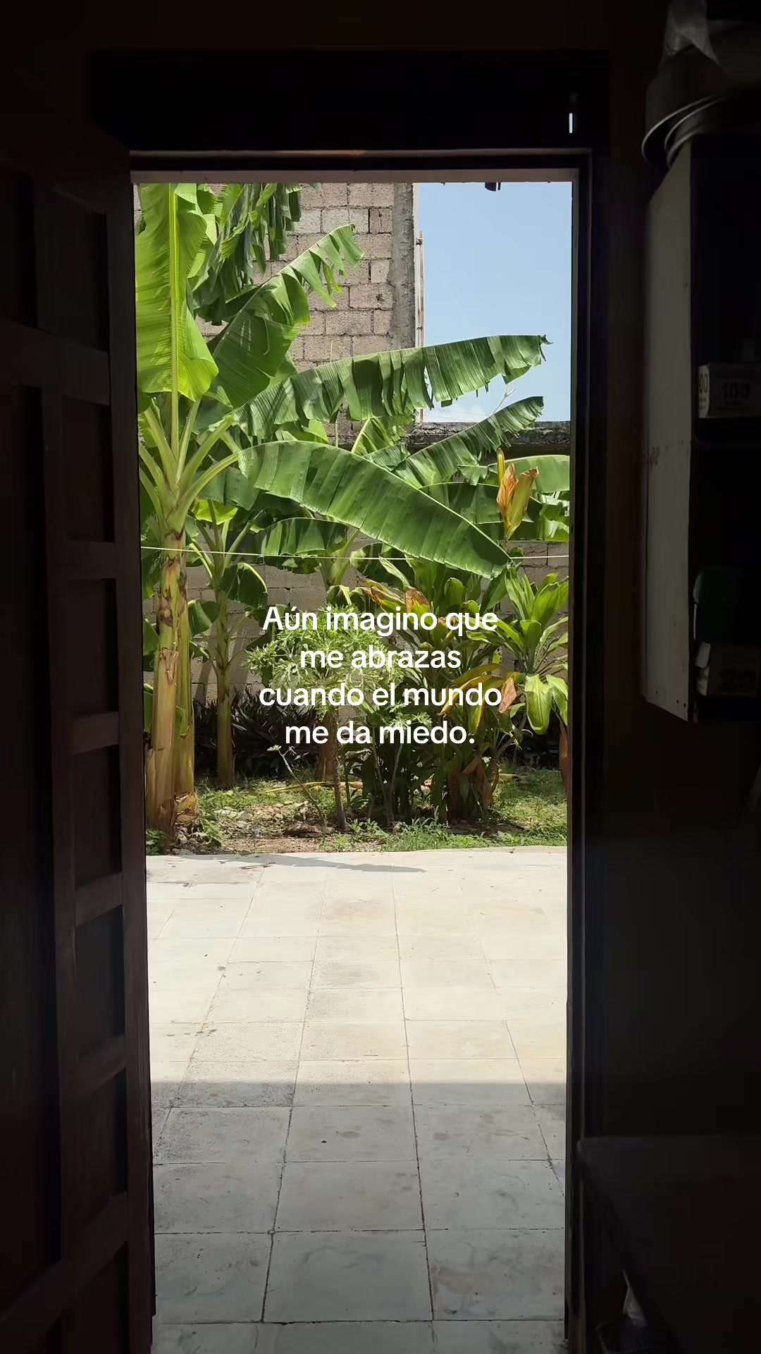 @Alma Pat