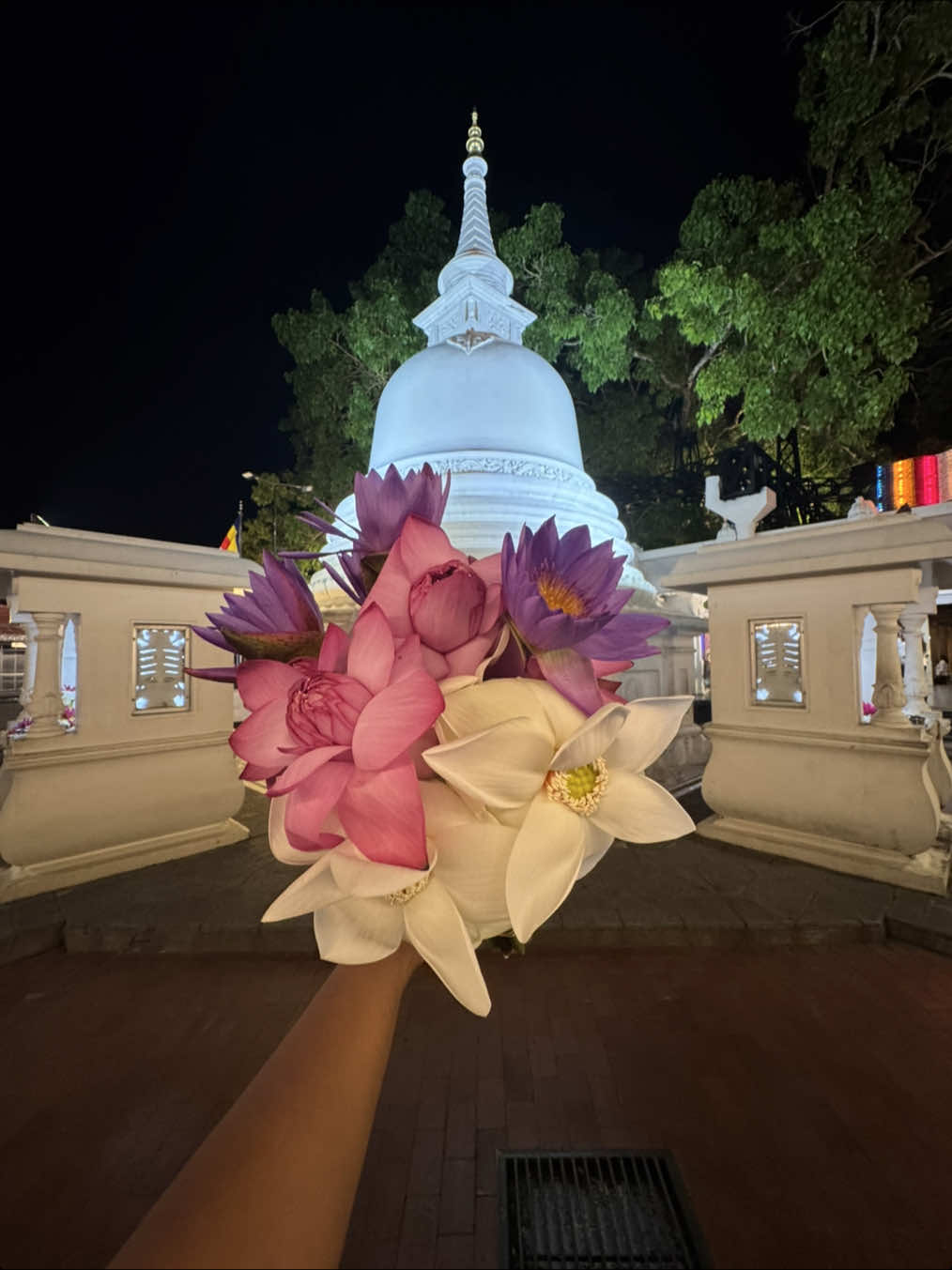 @Pravini Kotigampalaarachi