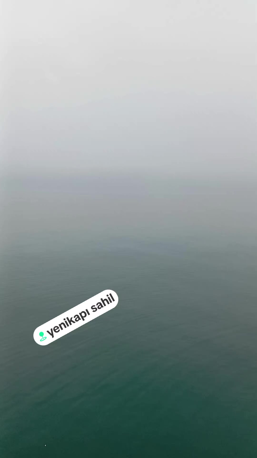 @Tanju Kazan
