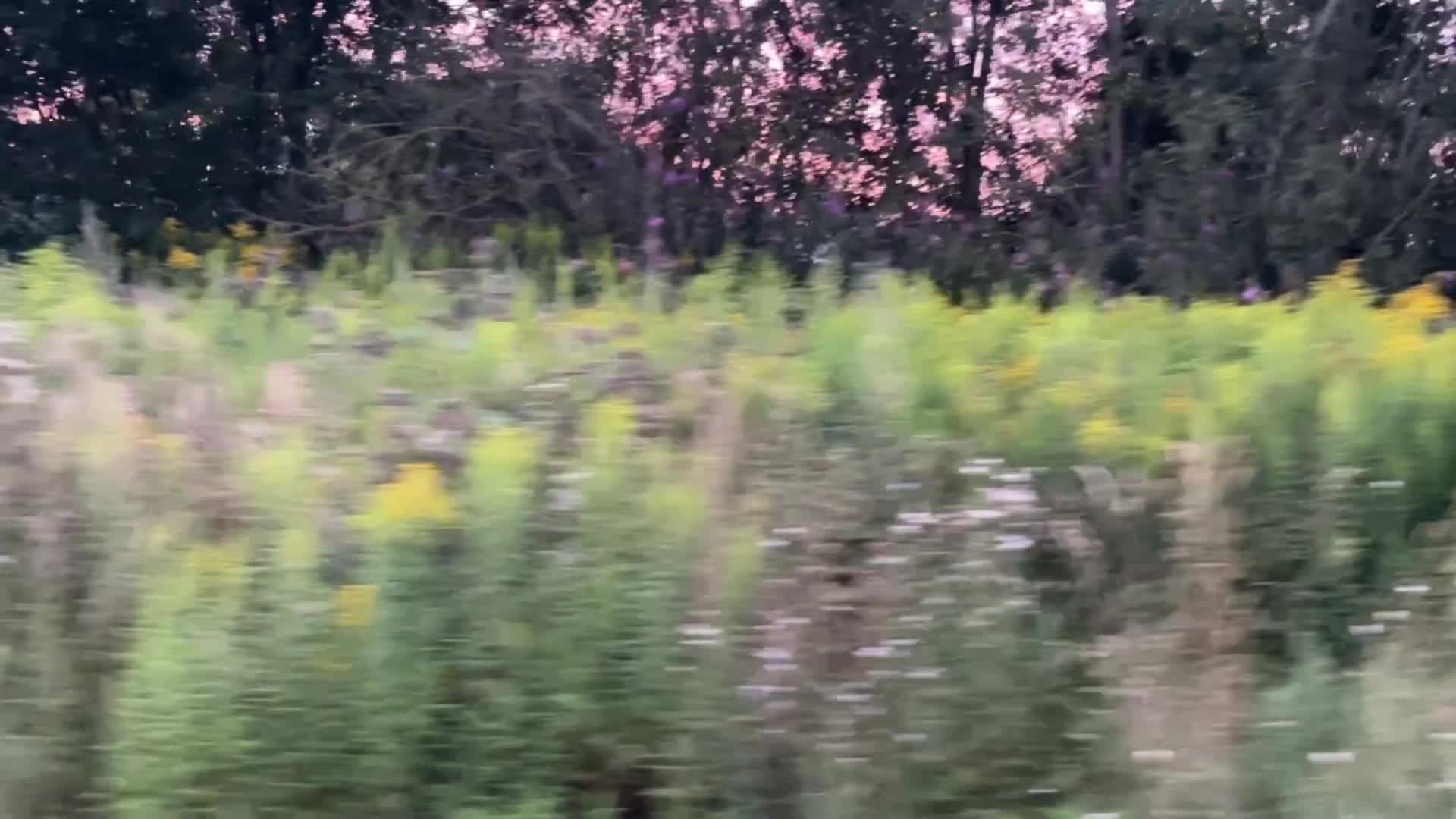 @Xczzz