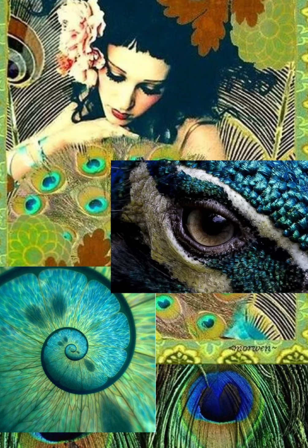 @evocativemuse