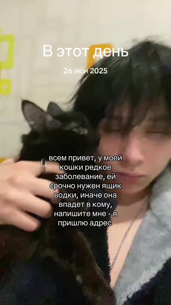 @insimmer