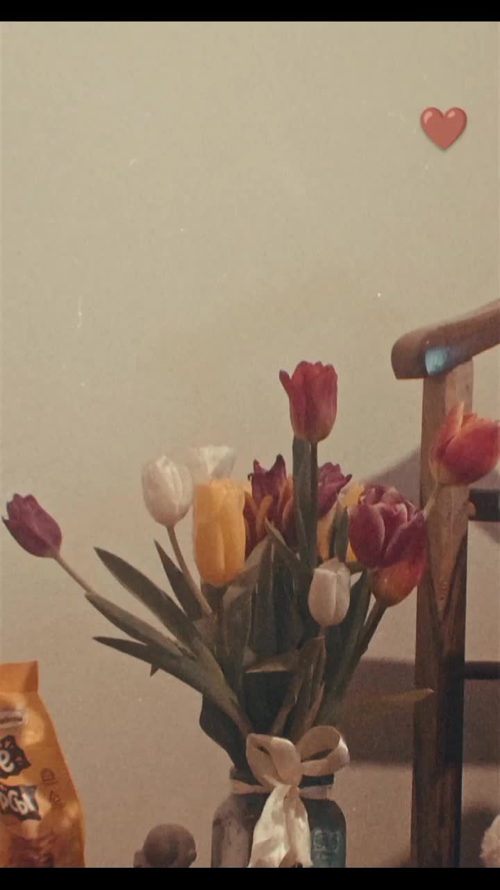 @Gulshen.A