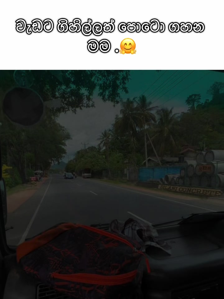 @ _Rash_xx 🦕