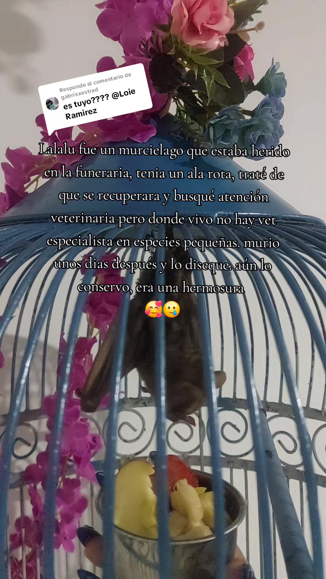 @Loie Ramirez