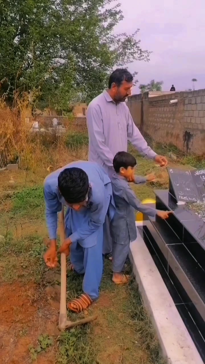 @Malik Faisal