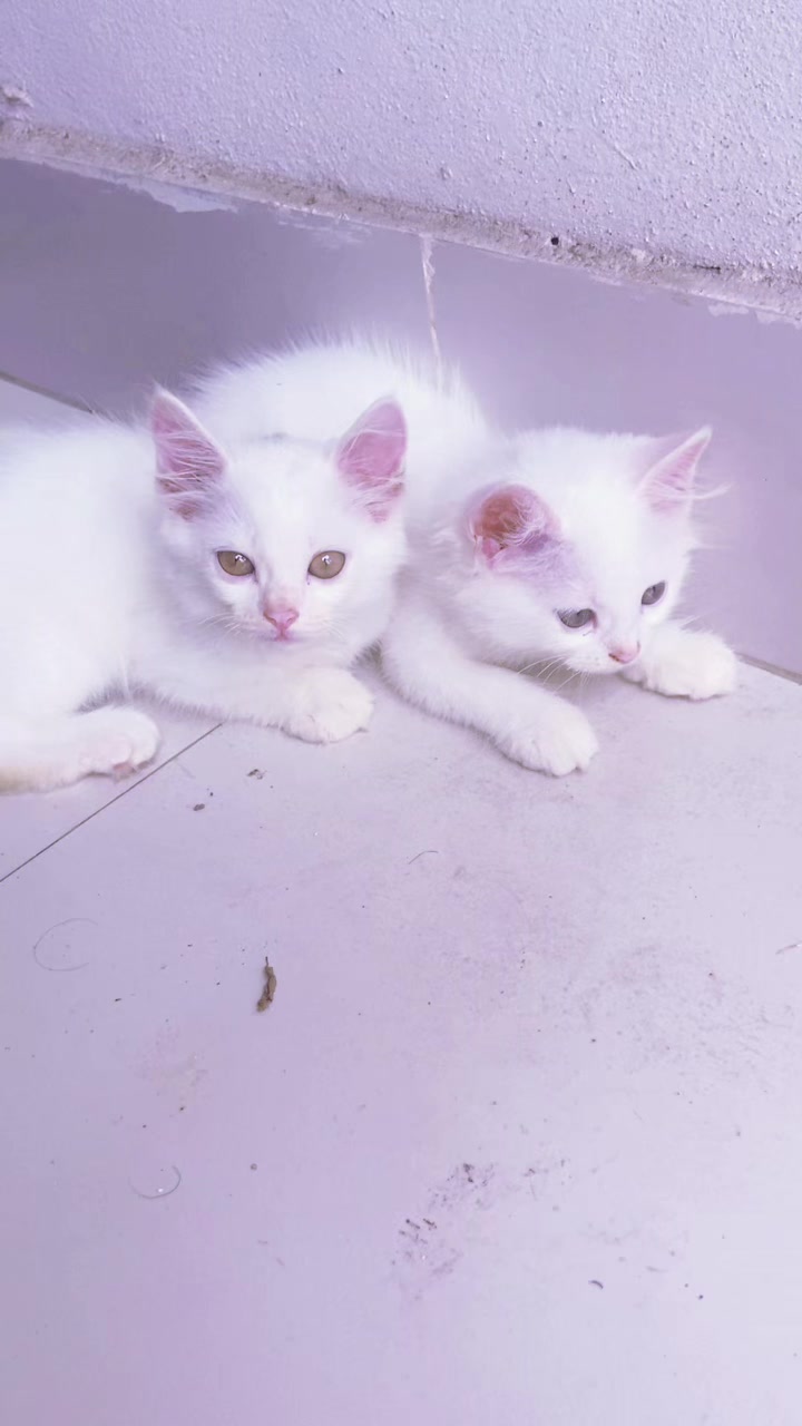 @🥰moni🥰