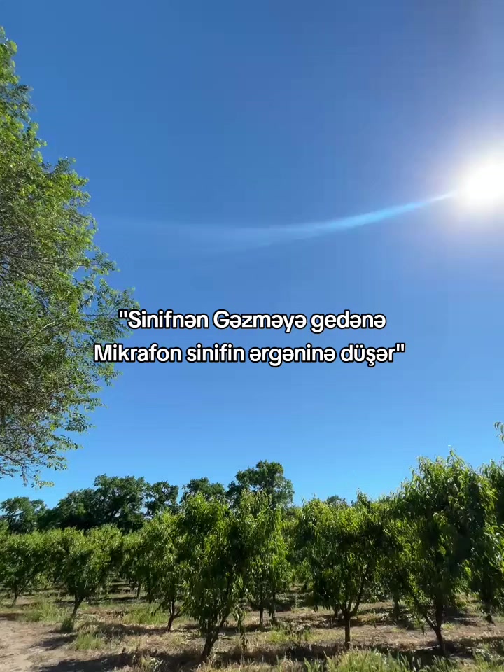 @alekberofws