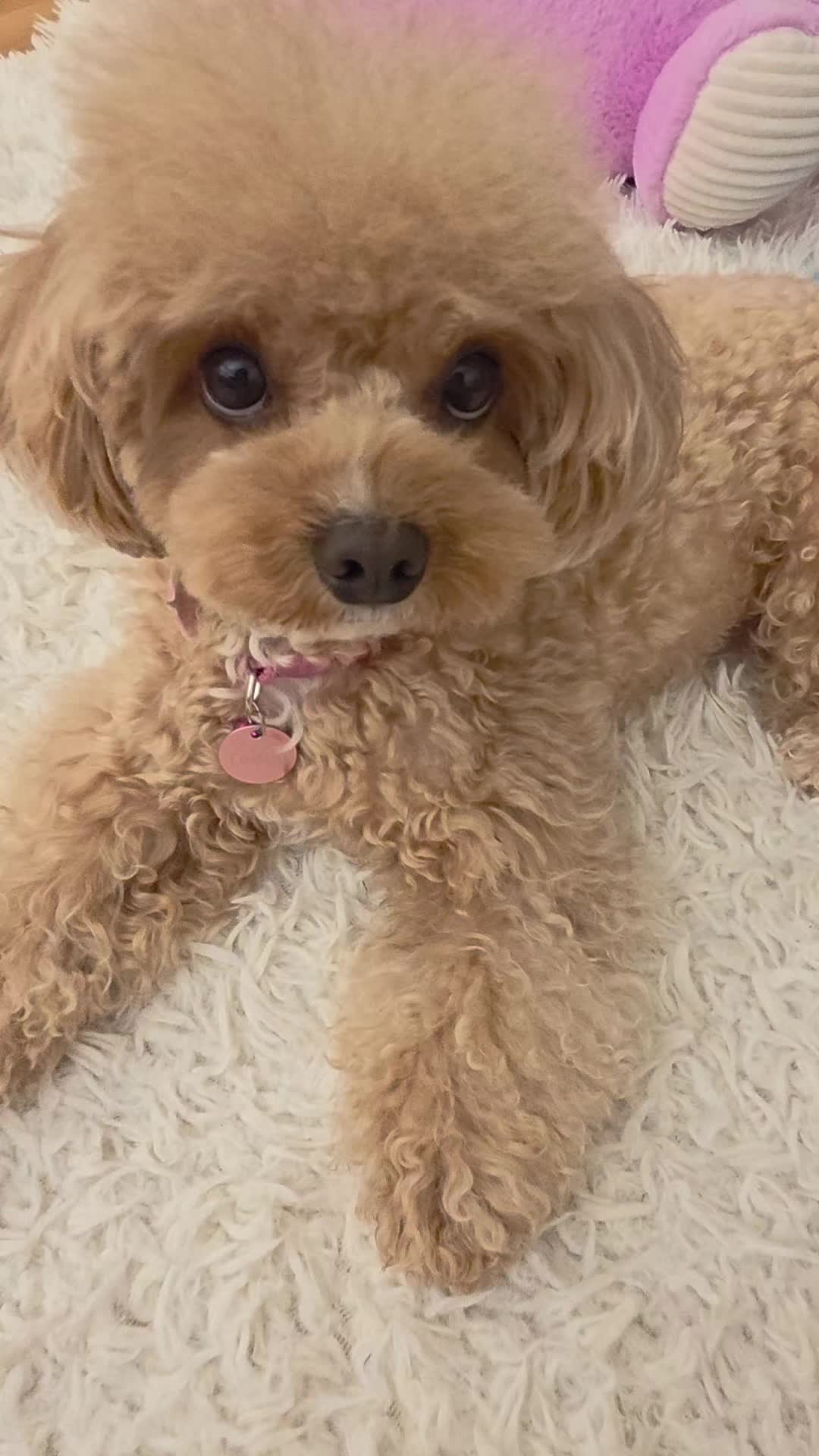 @Teddy12_22
