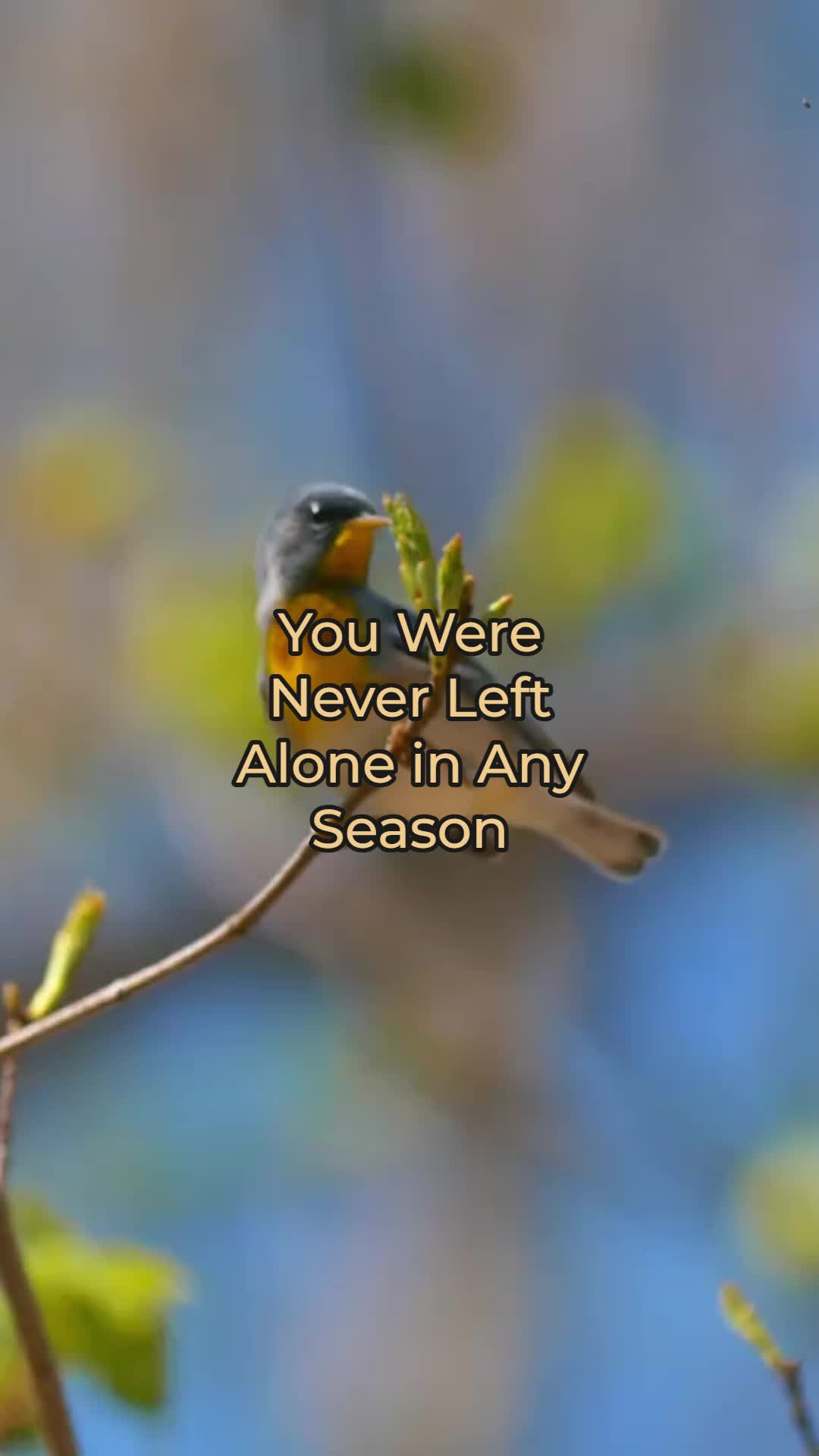 @Evangelist Jake Prince