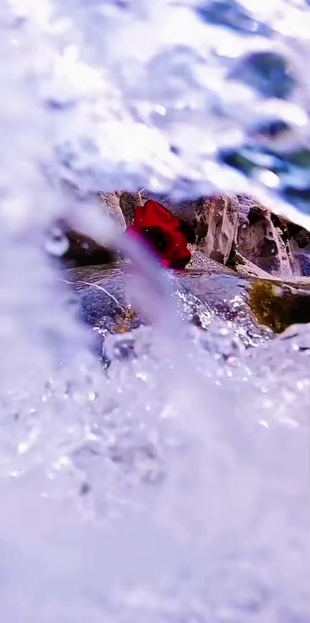 @꧁★✯͜͡ ᴇʟɪ̇ғ✯͜͡★꧂