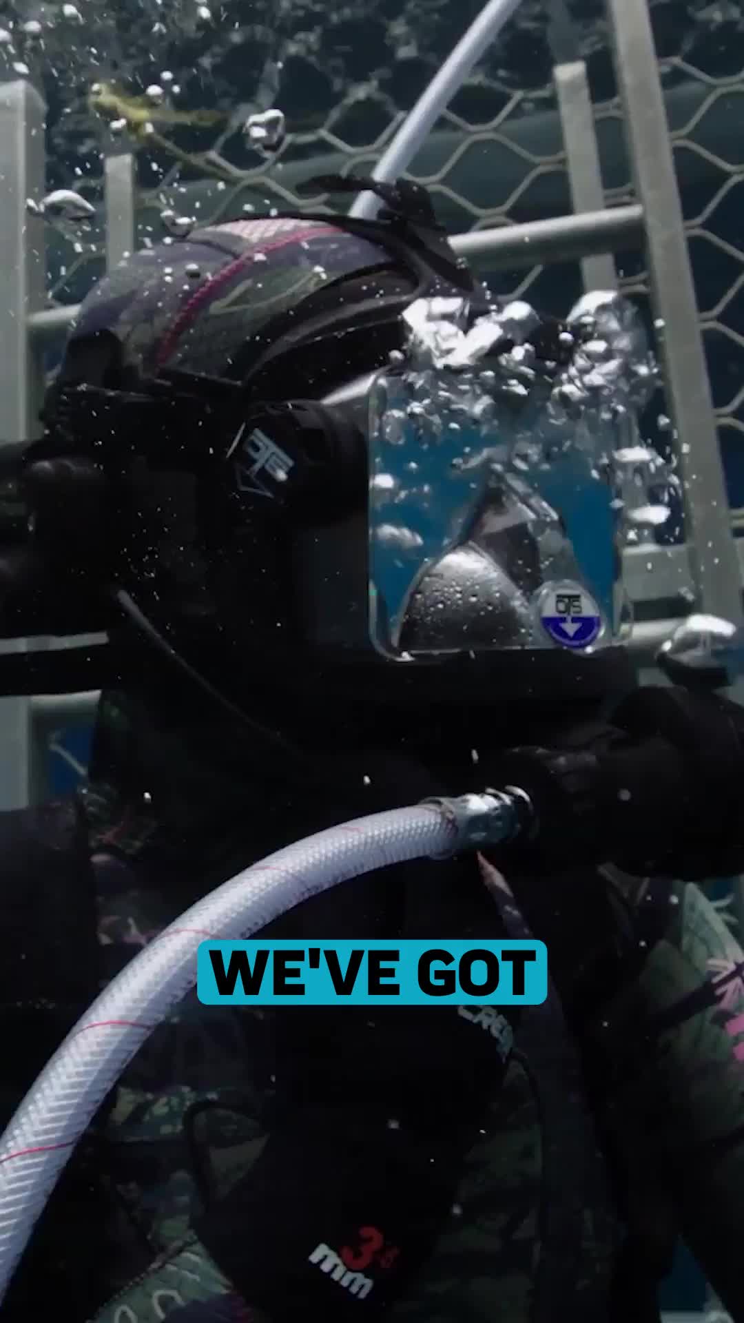 @Discovery