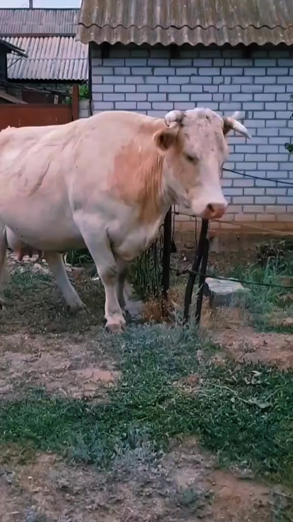 @Александр Олегович ✌️😎
