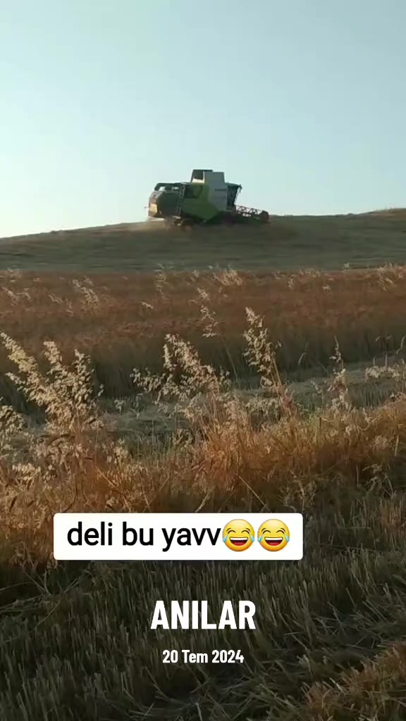@yılmaz Çetinkaya