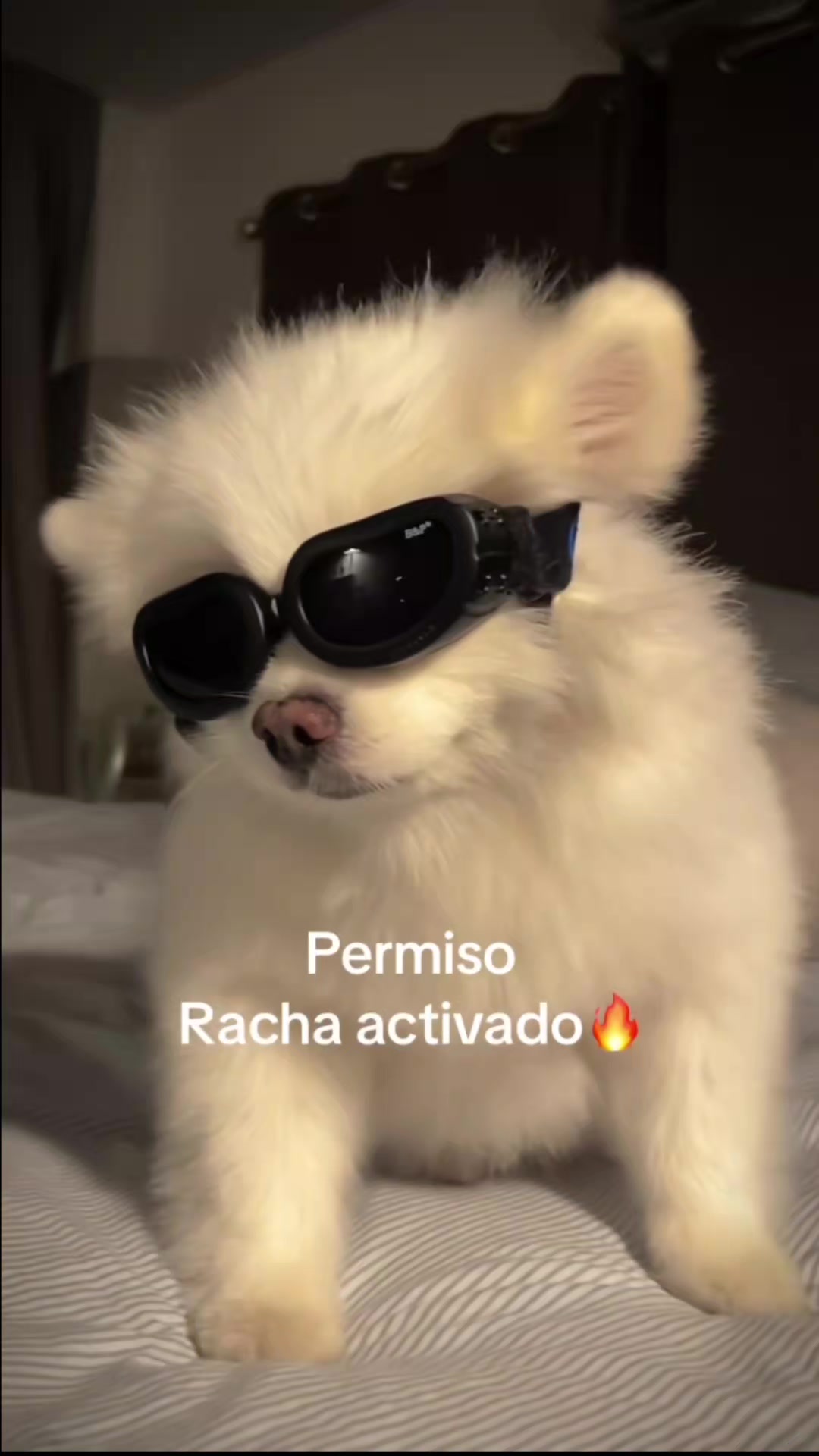 @osvaldo