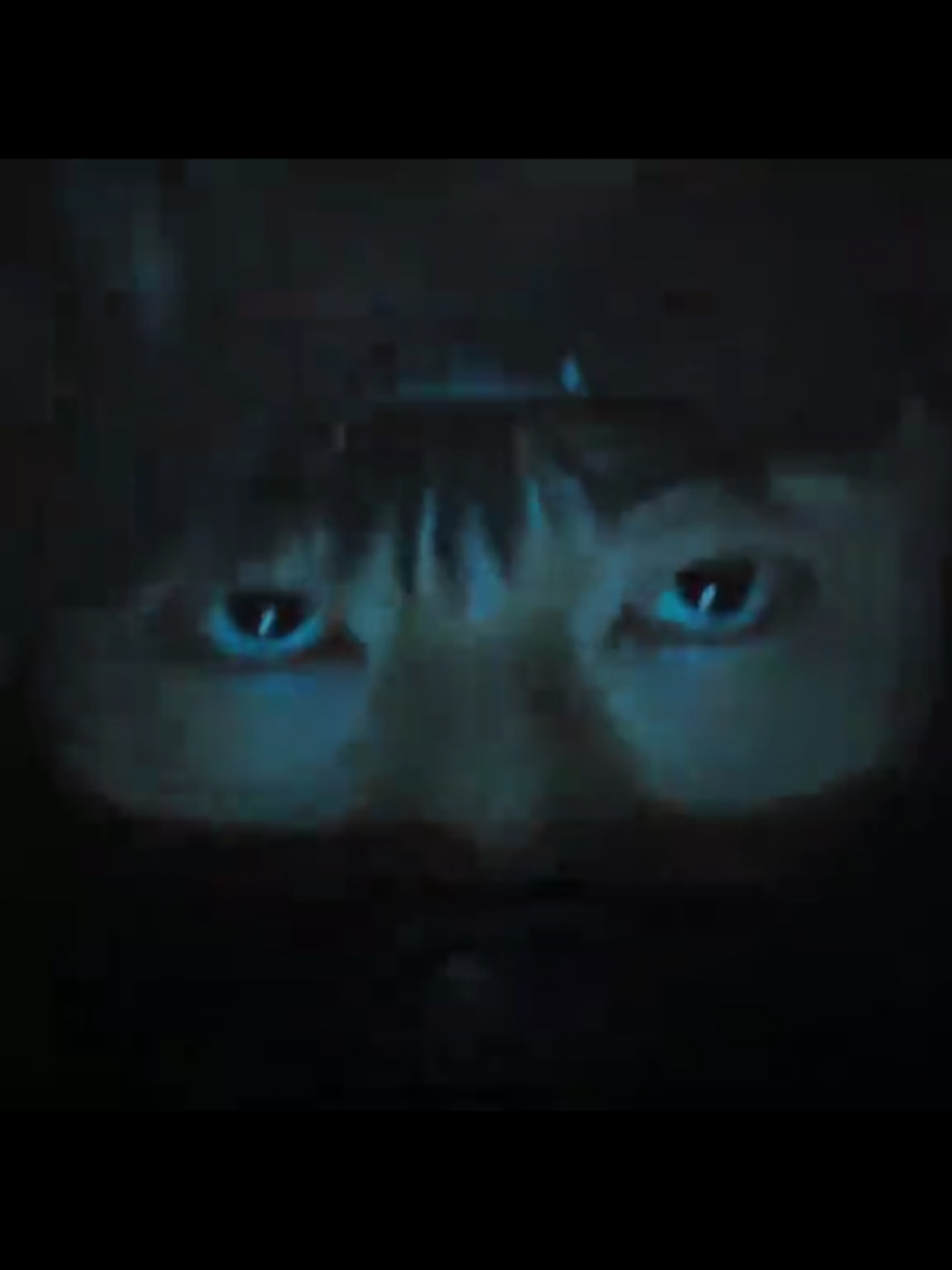 @𝐇𝐚𝐭𝐢𝐜𝐞 𝐓𝐞𝐤𝐲𝐨𝐥
