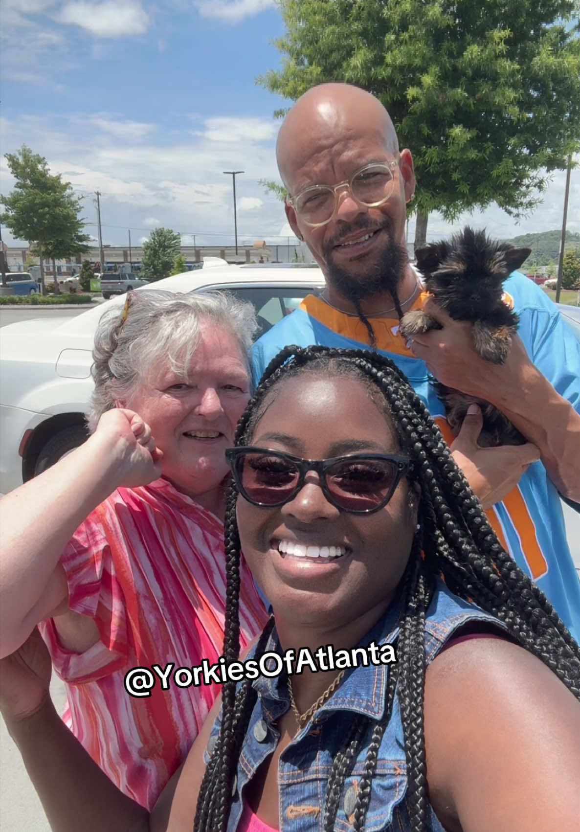 @Yorkies Of Atlanta