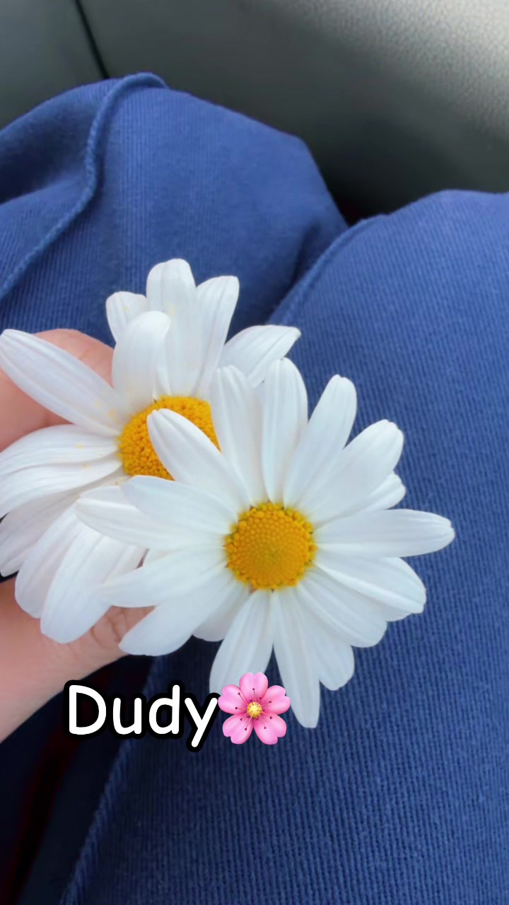 @DUDY_Z
