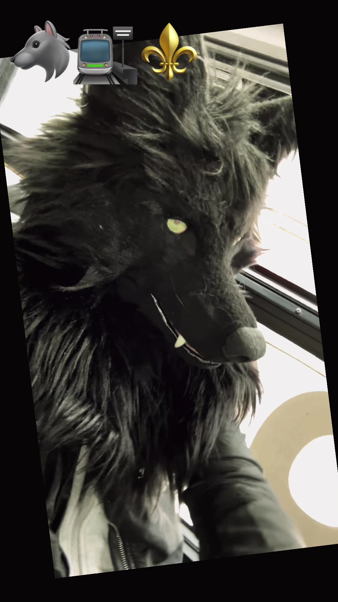 @furtanyl🐺