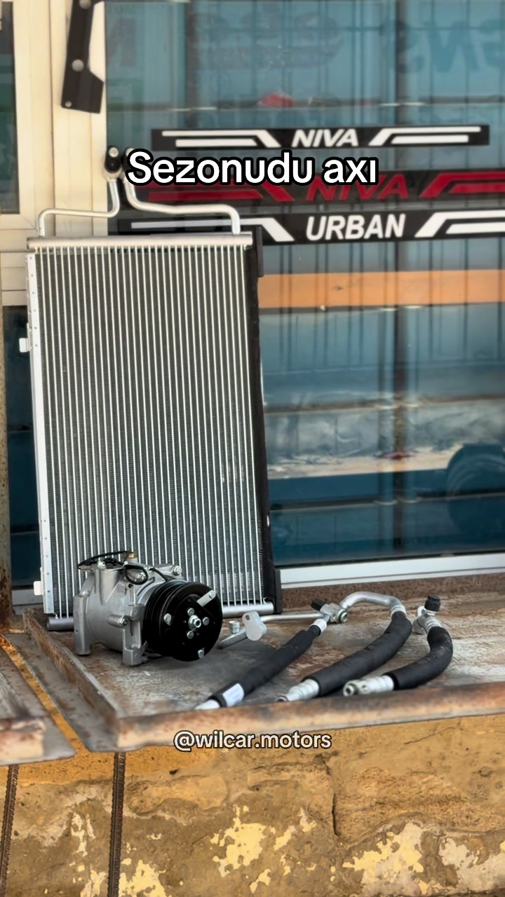 @WilCar Motors