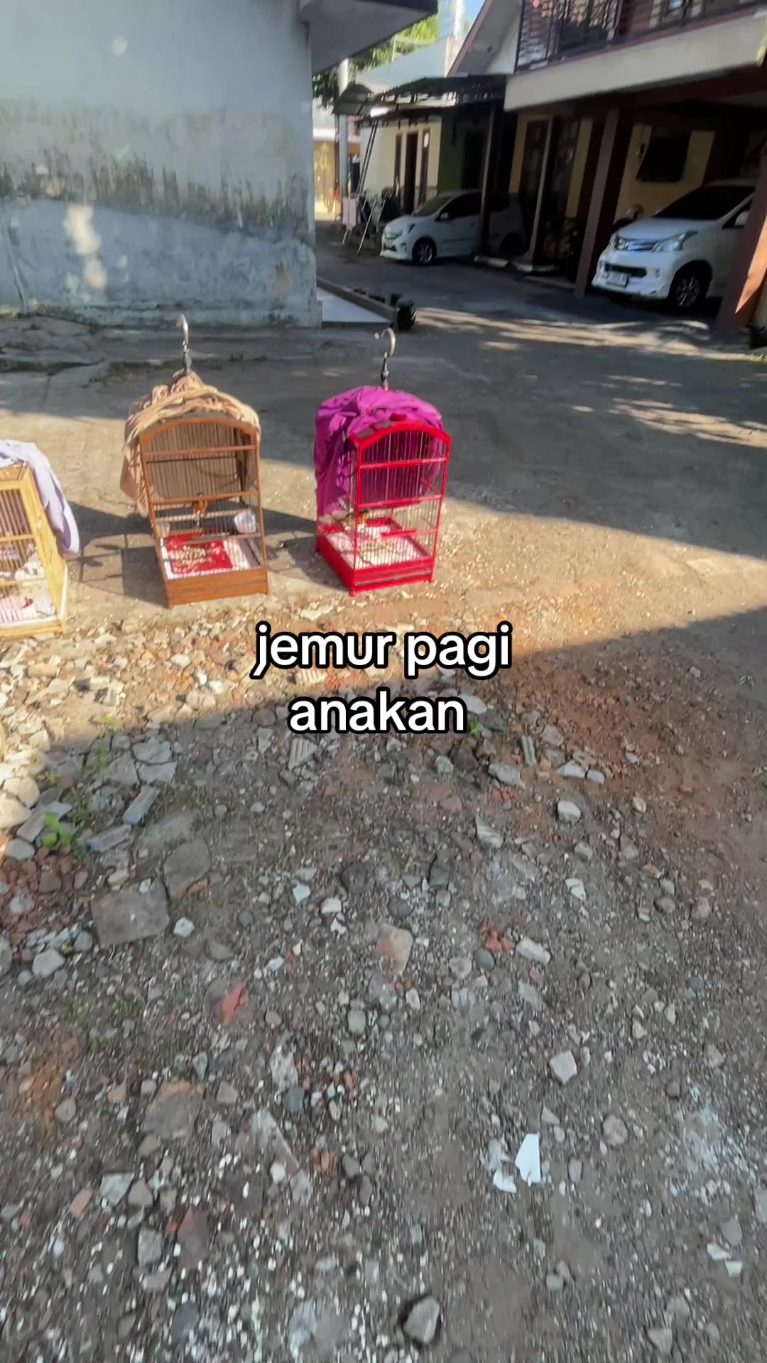 @MURAI BATU BONDOWOSO