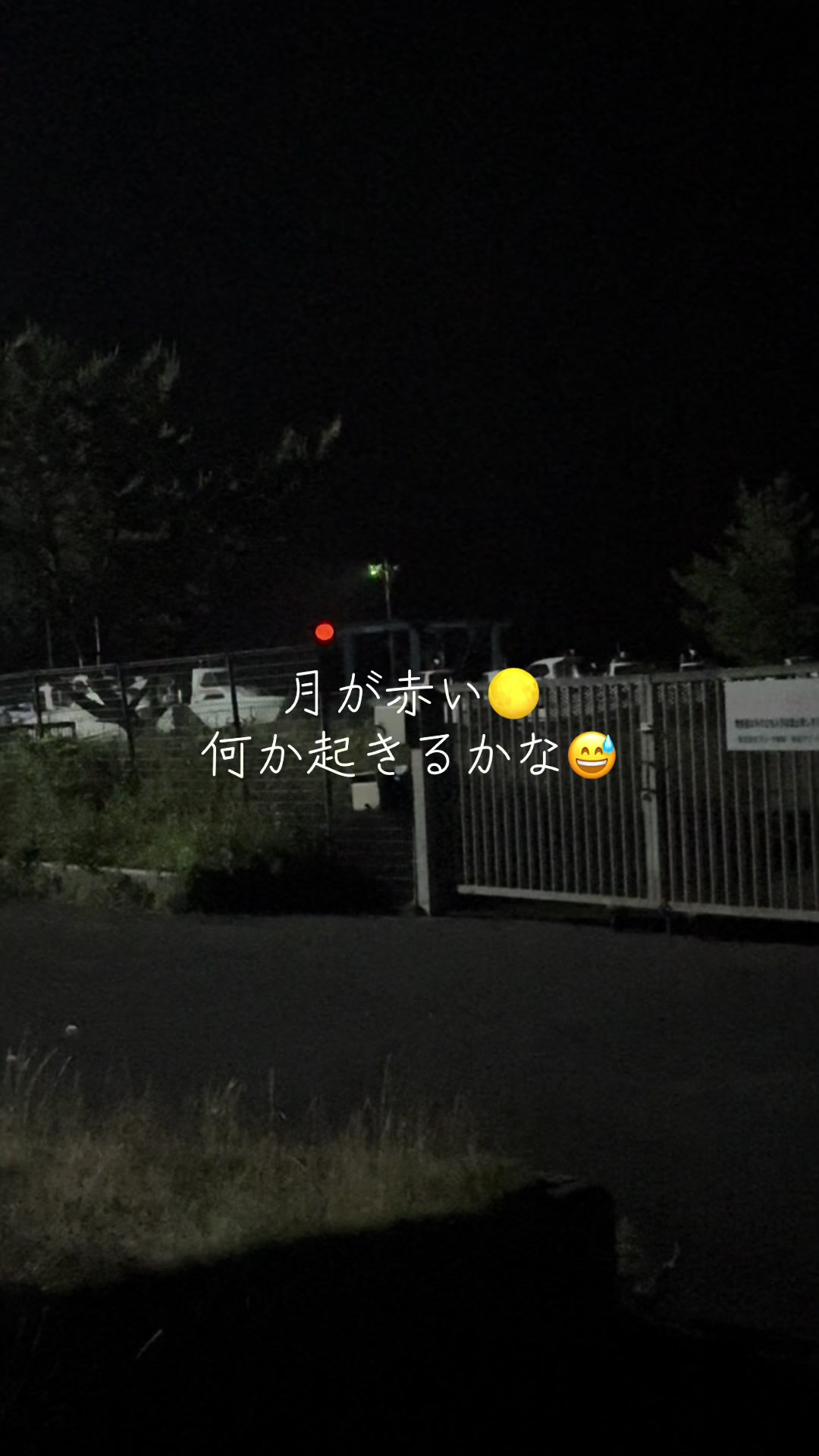 @デブデブ船長