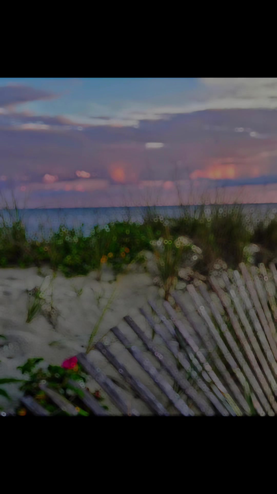@capecodflowermom
