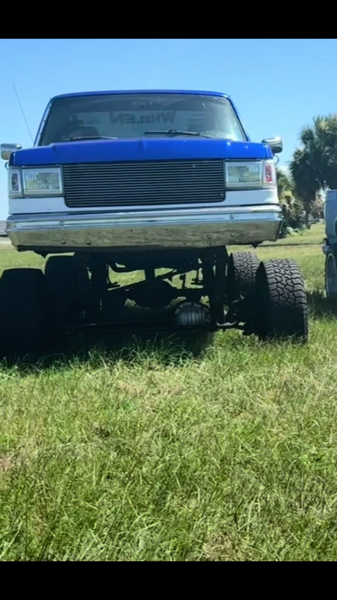 @that_blue_bricknose_7.3