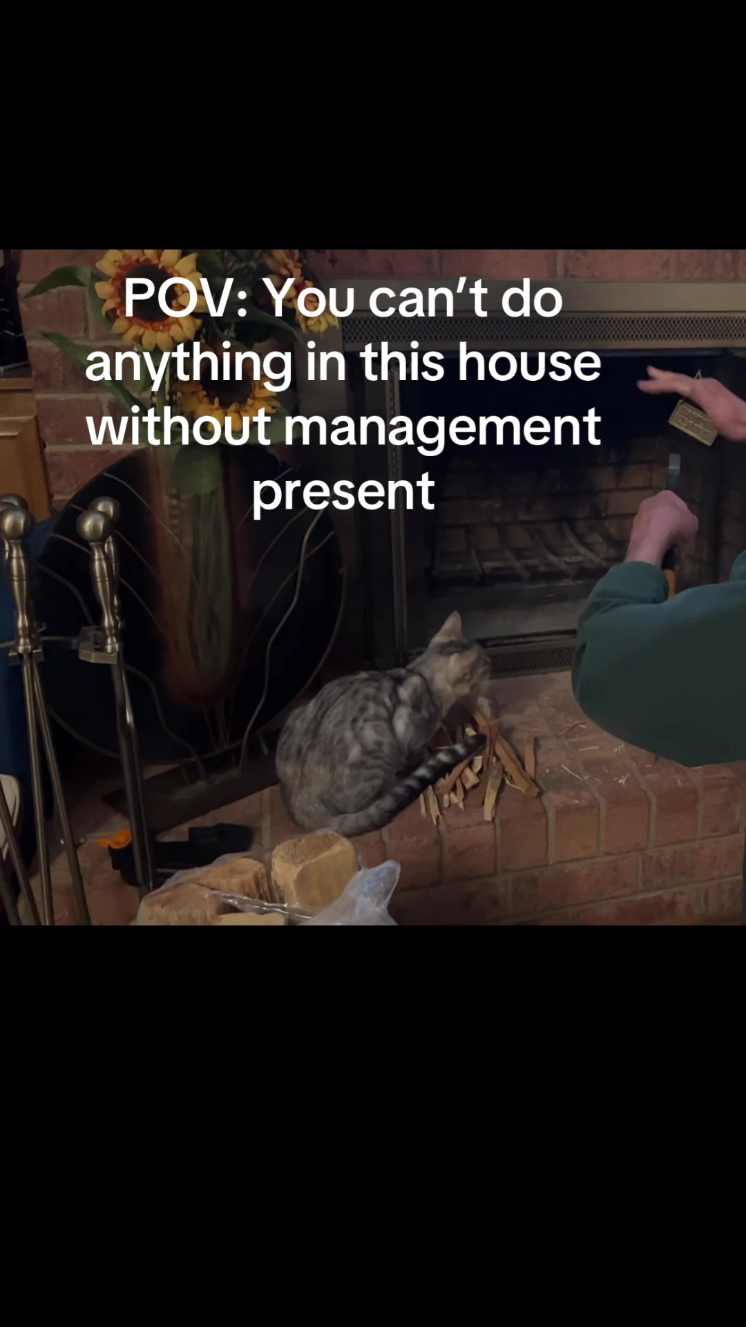 @gus.omatic
