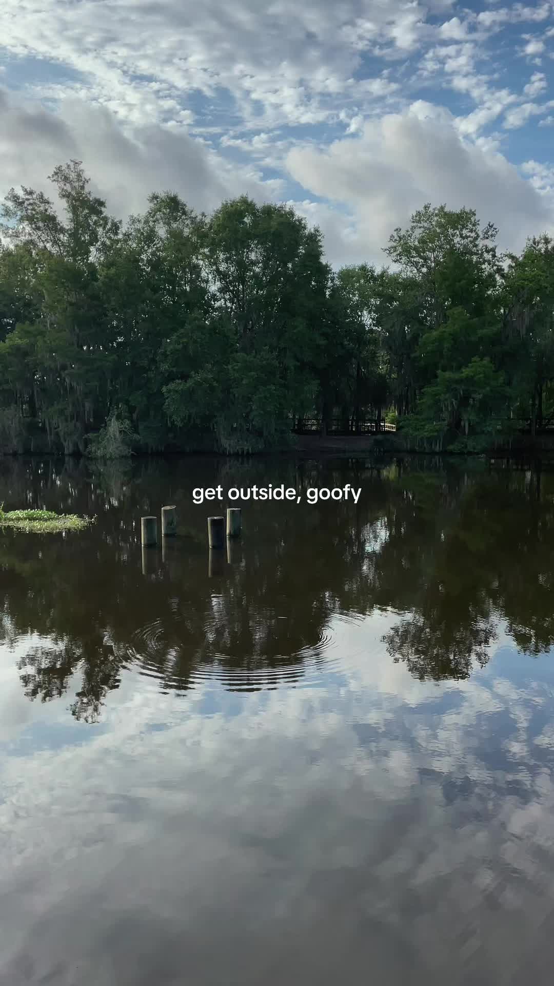 @Jules 🐊