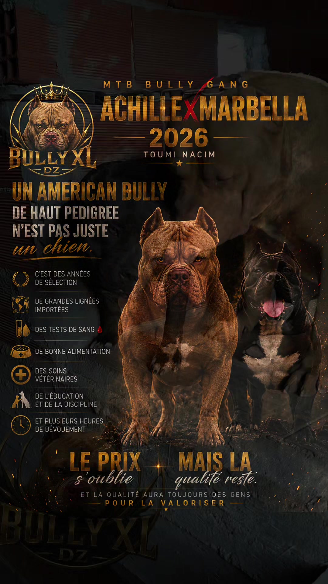 @bully xl dz 🇩🇿🦍