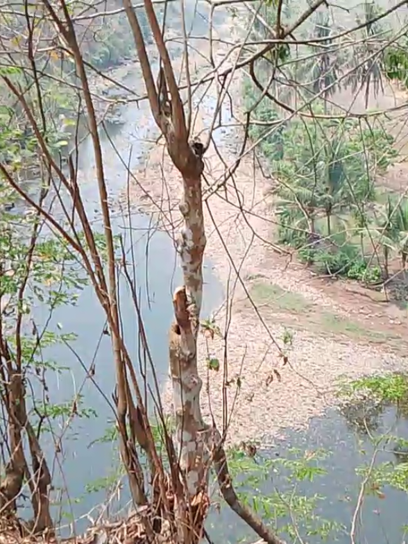 @Sahoby mancing
