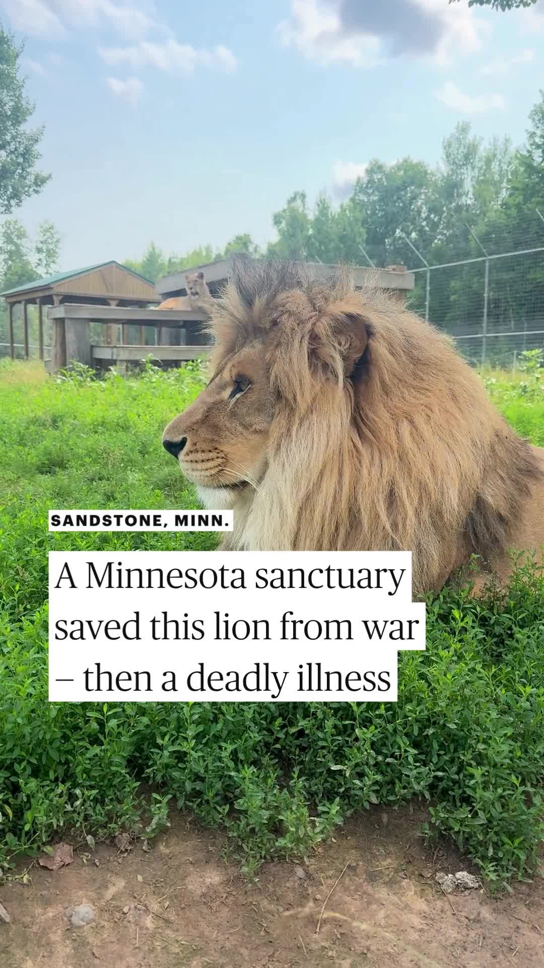 @Minnesota Star Tribune