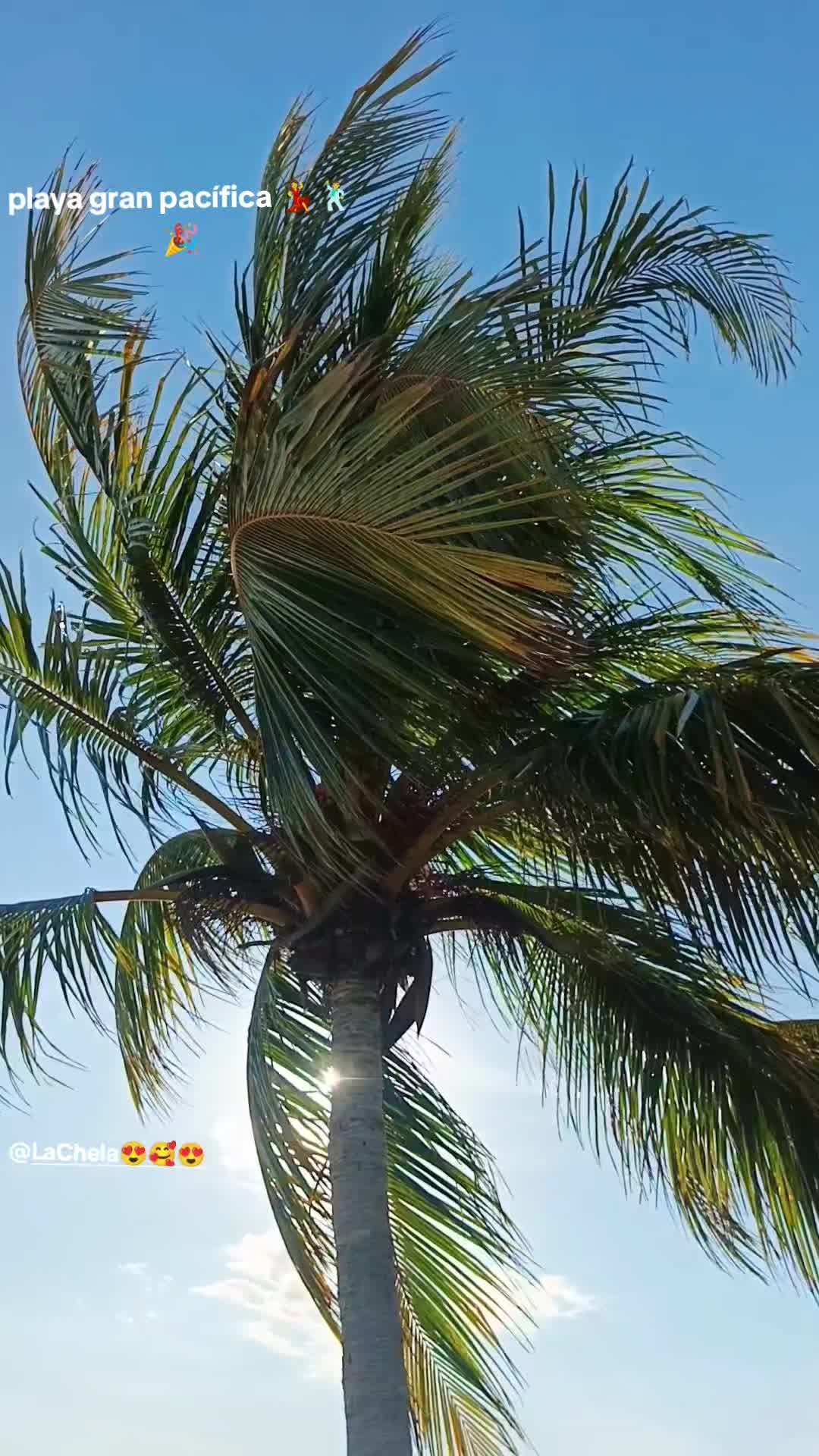 @el chinamero nica🇳🇮