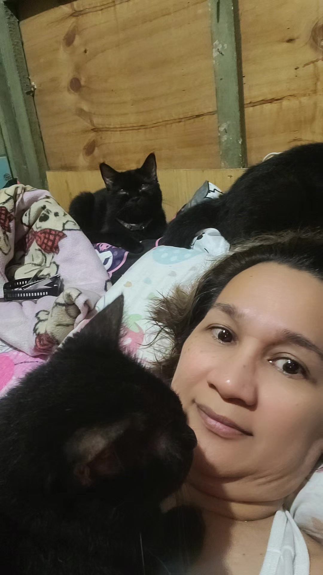 @CrazyCatMe