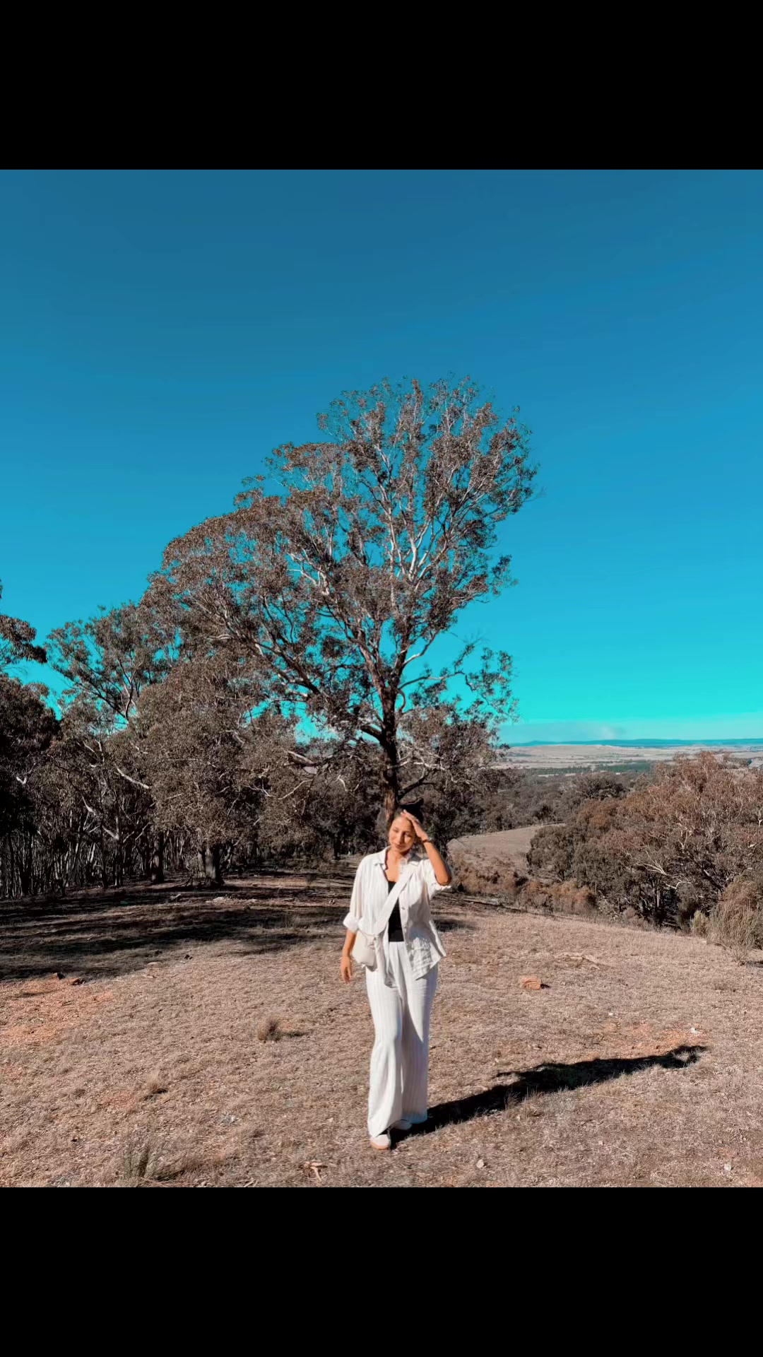 @🍁