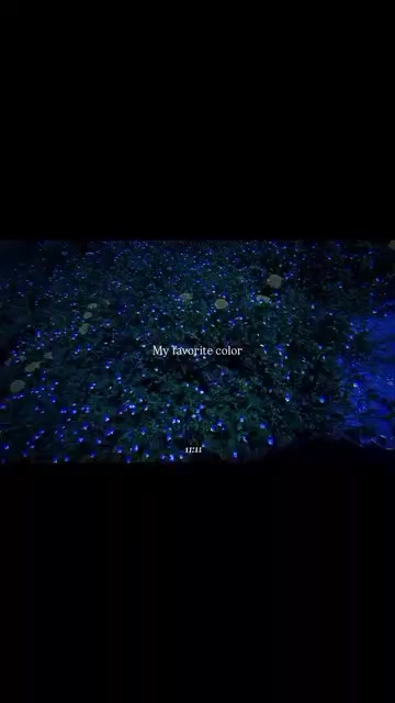 @lakita__yt2 🐧🥷