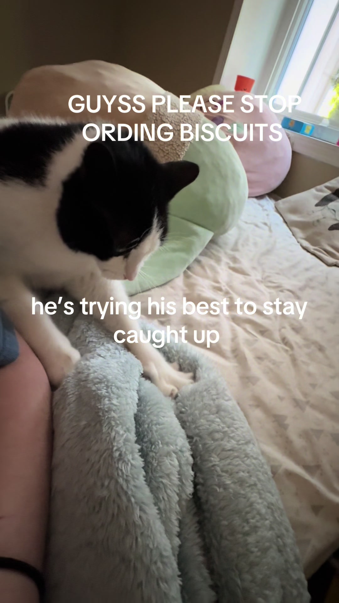 @and_LILY