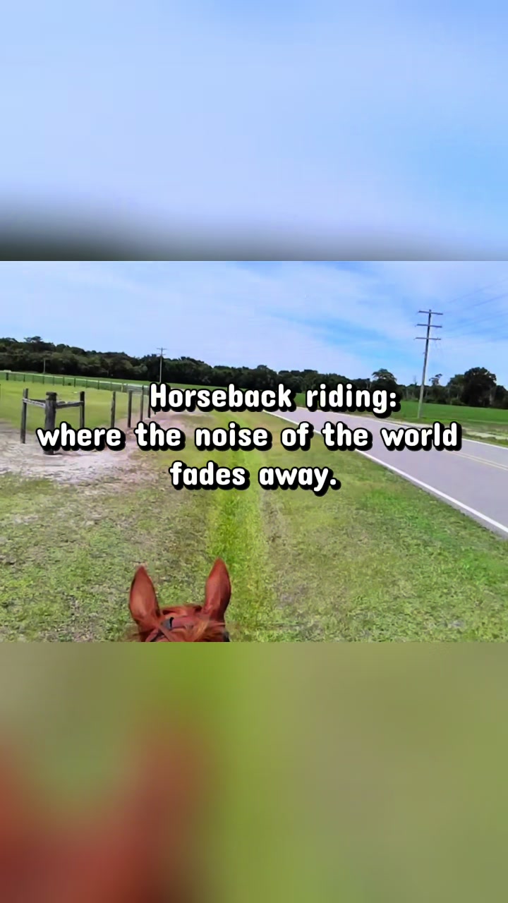 @Horselife