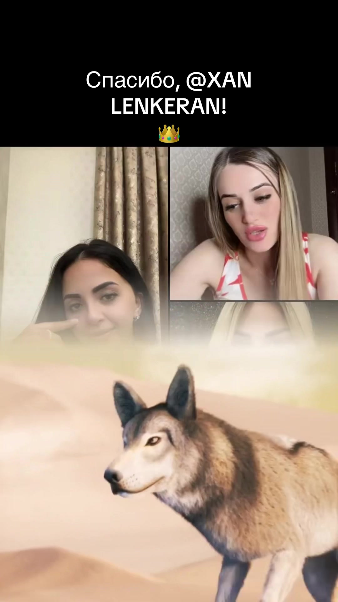 @gunel_nasirova3
