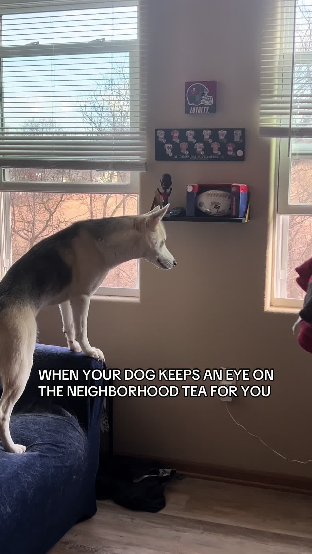 @Jeff