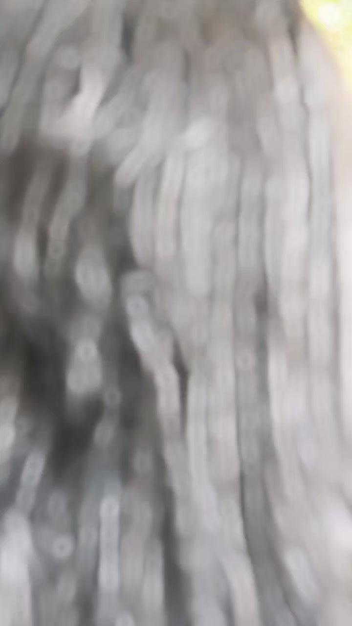 @yashu