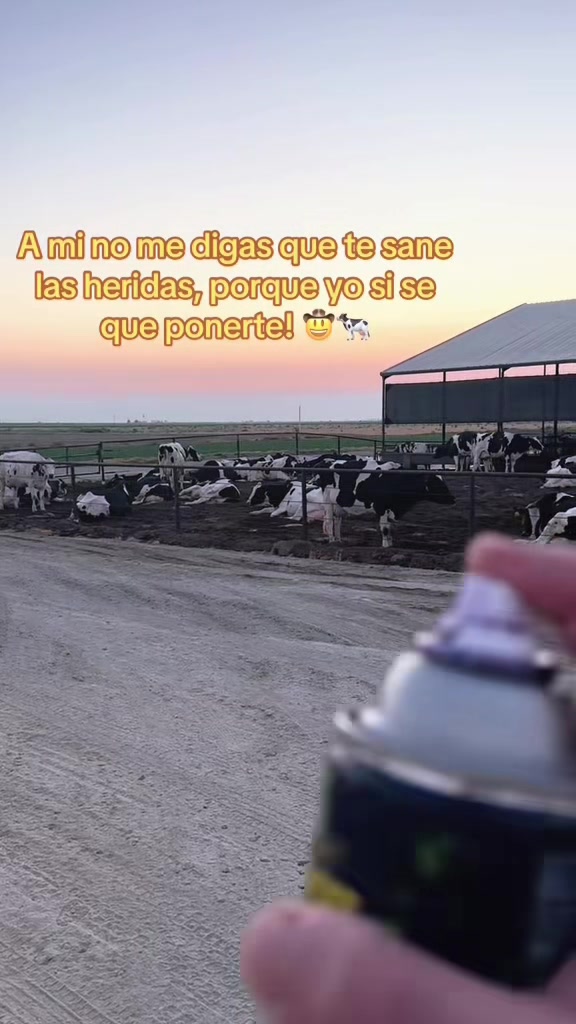 @El chespi🐄