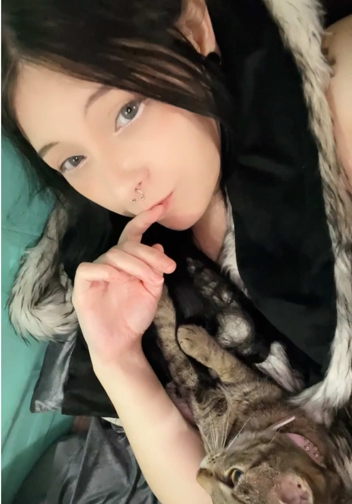 @sxd.dreamer