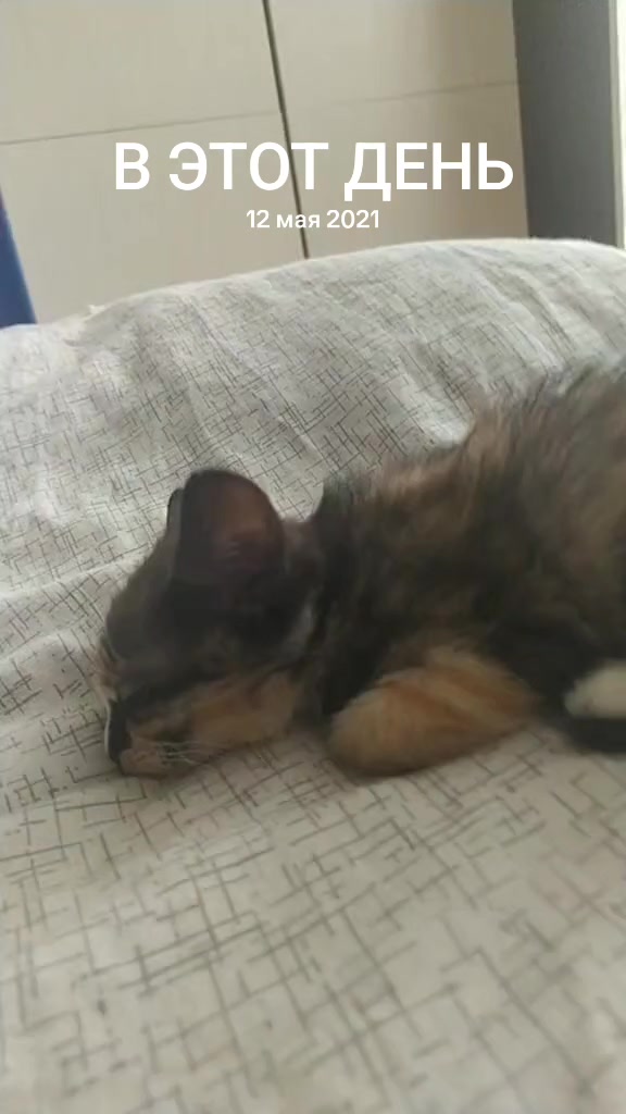 @КуКуСьКа_9009