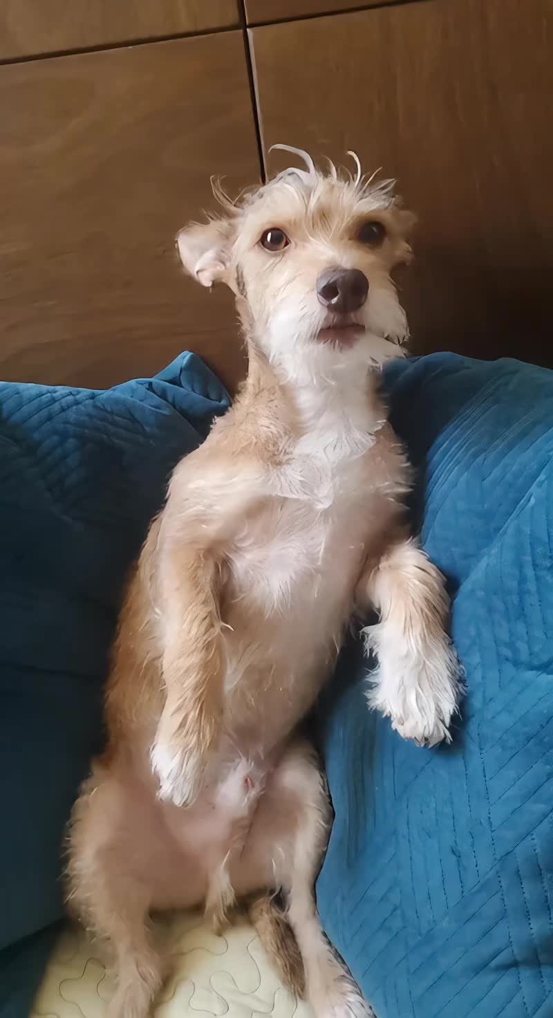 @Rufus007