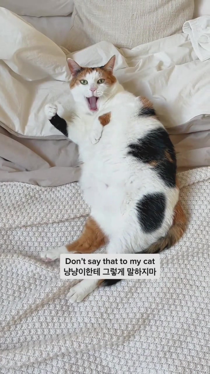 @Miyopet