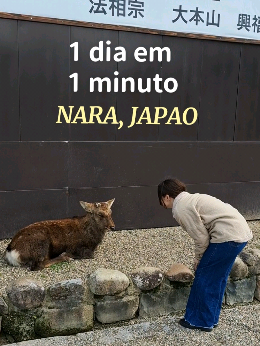 @Bruna Robaina